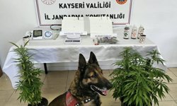 Kayseri’de Uyuşturucu Operasyonu: Esrar Ele Geçirildi