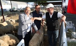 Talas’ta Kurban Satış Yerleri Kurası