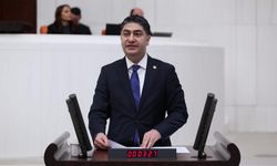 MHP’li Özdemir’den Felahiye-Özvatan Yolu İçin Sitem