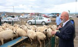 Bölgenin En Büyük Kesim ve Satış Yeri Yine Kocasinan’da Hazırlandı