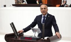 CHP’li Aşkın Genç: “Ağır Trafik Cezaları Nakliyeci Esnafını Çalışamaz Hale Getiriyor”
