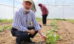 Kocasinan’da Şehir Merkezinde 60 Bin Fideli Tarımsal Üretim Dikkat Çekiyor