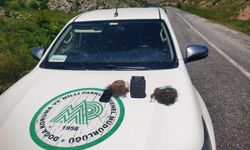 Bünyan’da Kaçak Av Yapan Kişiye Suçüstü