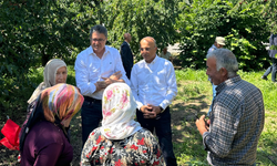 CHP’li Aşkın Genç: ‘’Çiftçi Daha Ucuza Satıyor, Vatandaş Daha Pahalıya Alıyor’’