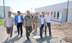İlklerin Belediyesi Kocasinan'dan Şehrin İlk Ruhsatlı Hayvan Bakımevi