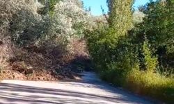 Sarıoğlan’da Heyelan Ulaşımı Durdurdu