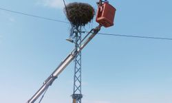 Kayseri'de Elektrik Direğinde Mahsur Kalan Leyleği Ekipler Kurtardı