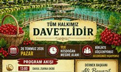 Kesdoğan Birlik, Beraberlik ve Gilaburu Şenliği 9. kez Düzenlenecek