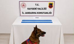 Kayseri’de 2 bin 700 Adet Uyuşturucu Hap Ele Geçirildi