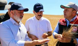 Kocasinan’da Tarım Buluşması Hasatla Taçlandı