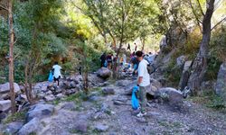 Kırlangıç Vadisi’nde Yeşil Seferberlik