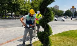 Büyükşehir’den Kent Estetiğine Titiz Dokunuş: Süs Bitkilerine Form Budaması