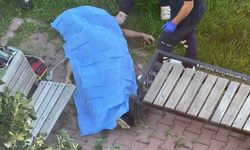 Erkek Şahıs Parkta Ölü Bulundu