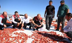 Yeşilhisar’da Üretilen Domatesler Kurutularak İhraç Ediliyor