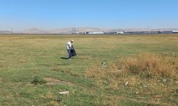 Hürmetçi Sazlığı’nda Temizlik Çalışması