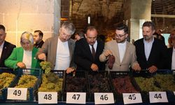 İncesu 3 Büyük Organizasyonda 100 Bin Kişiyi Ağırladı