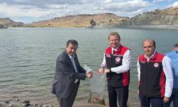 Akköy Barajı’na Yavru Sazan Balıkları Bırakıldı