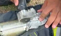 Kafası Konserve Kutusuna Sıkışan Kedi Kurtarıldı