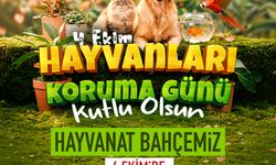 Başkan Büyükkılıç: “Tüm Canlıların Yaşam Hakkına Saygı Göstermeliyiz”