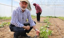 Kocasinan’ın Türkiye’ye Örnek Olan Tarım Projesinde Son Hasat