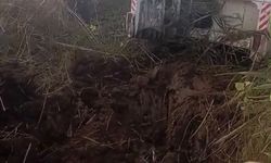 Kanala Düşen İnek Belediye Ekiplerince Kurtarıldı