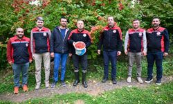 Akkışla’da Gilaburu Hasadı Yapıldı