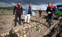 Talas’ta Patates Hasadı Yapıldı