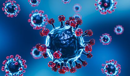 Dünyanın Alarm Verdiği Maymun Çiçeği Virüsü Nedir, Nasıl Bulaşır?