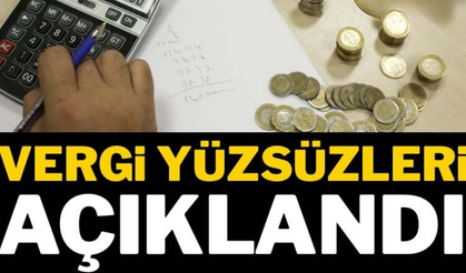 Son dakika... Vergi borcu ve cezası bulunan mükellefler ilan edildi