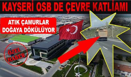 KAYSERİ OSB DE ÇEVRE KATLİAMI