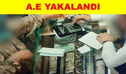 Hırsızlık suçundan arananıyordu