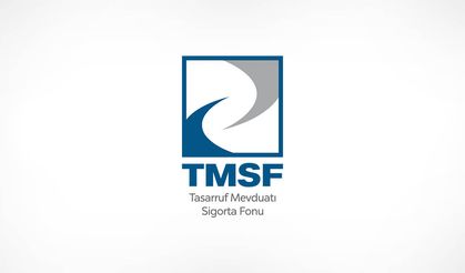 TMSF, Form Sünger ve Yatak Sanayi AŞ’nin tamamını satışa çıkardı