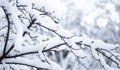 Kayseri’de hafta sonu