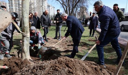 Melikgazi’de ağaçlandırma çalışmaları başladı