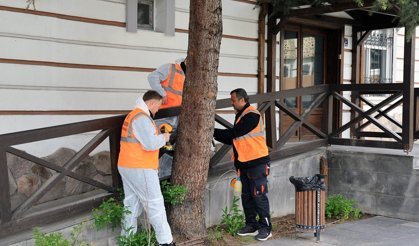 Talas’tan Çevre Dostu İlaçlama Atağı