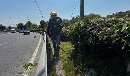 Büyükşehir’den Daha Temiz ve Daha Yeşil Bir Kayseri İçin Kesintisiz Hizmet