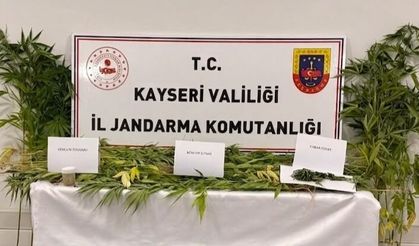 Kayseri’de Uyuşturucu Operasyonu: 2 Gözaltı