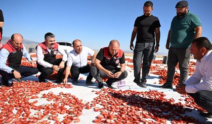 Yeşilhisar’da Üretilen Domatesler Kurutularak İhraç Ediliyor