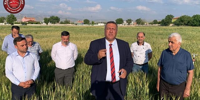 Gürer” Çiftçi hasat etmeden taban fiyat eridi”