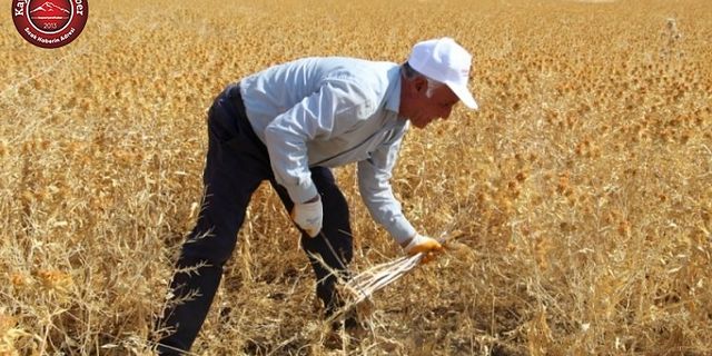 Tarımsal Destek Ödemeleri Bugün Hesaplara Yatıyor
