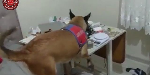 Narkotik Köpeği Geçit Vermedi