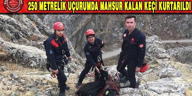 Uçurumda Mahsur Kalan Keçiyi İtfaiye Kurtardı
