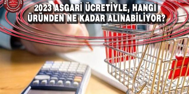 Yeni Asgari Ücretle Ne Alınabilir