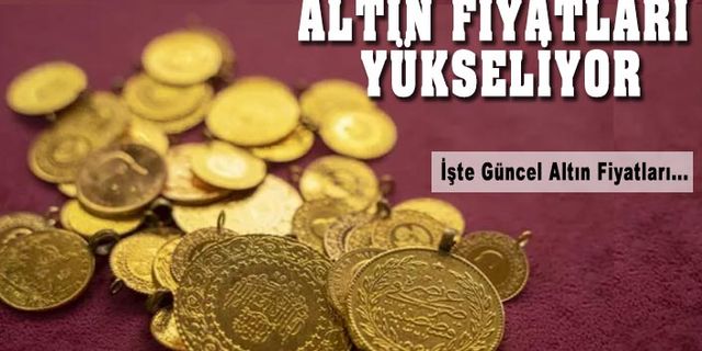 Altın Yükselişe Geçti