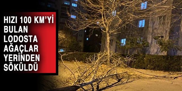 Şiddetli Lodos Yıktı