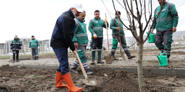 Meyve Bahçesinden Çocuk Parkı Yapılıyor