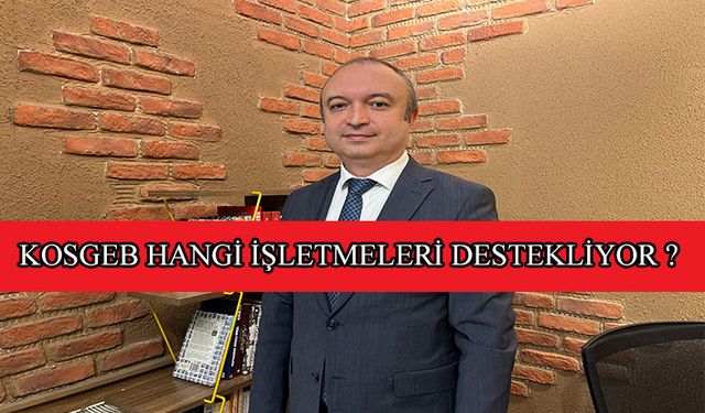 KOSGEB hangi işletmeleri destekliyor?