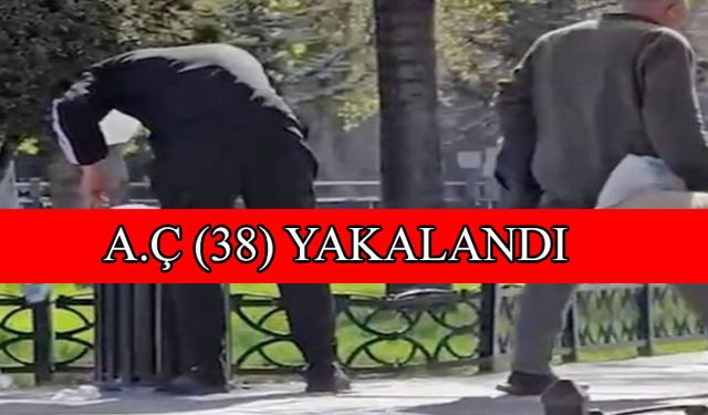 Kayseri’de çöp kovasını dağıtan şahsa para cezası