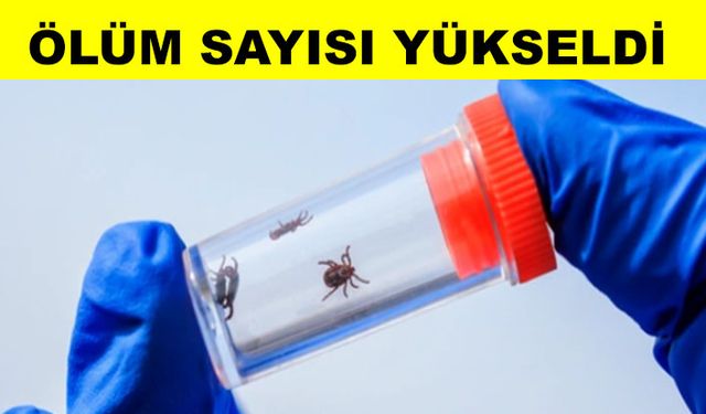 Kırmızı alarm kene vakası artıyor