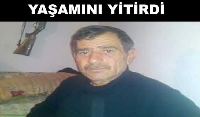 Yine bir kene vakası daha